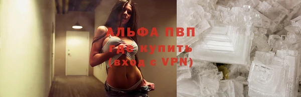 мяу мяу мука Бородино
